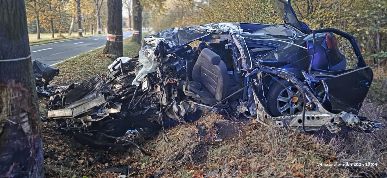 Dolny Śląsk: Śmierć na drzewie