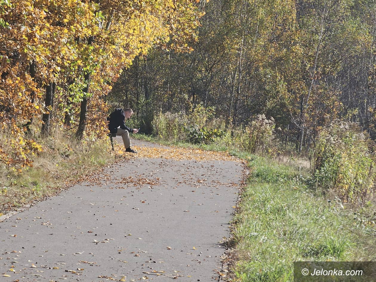 Jelenia Góra: Złota polska jesień