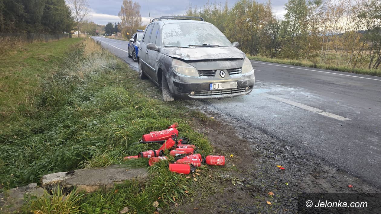 Siedlęcin: Sami ugasili Renaulta