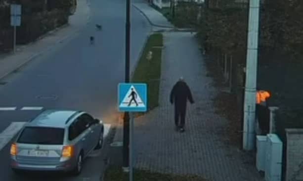 Bogatynia: Kierowca uratował chłopca – odpędził psy