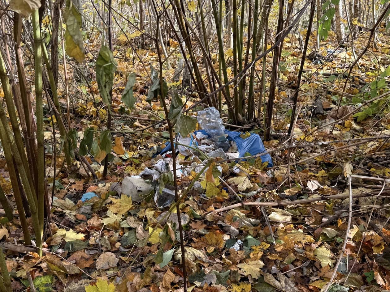 Kowary: Śmieci nie do ruszenia