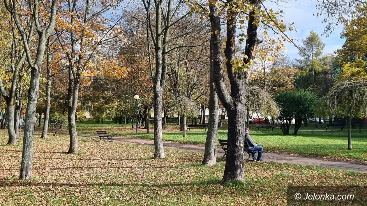 Jelenia Góra: Skwer wybrany przez mieszkańców