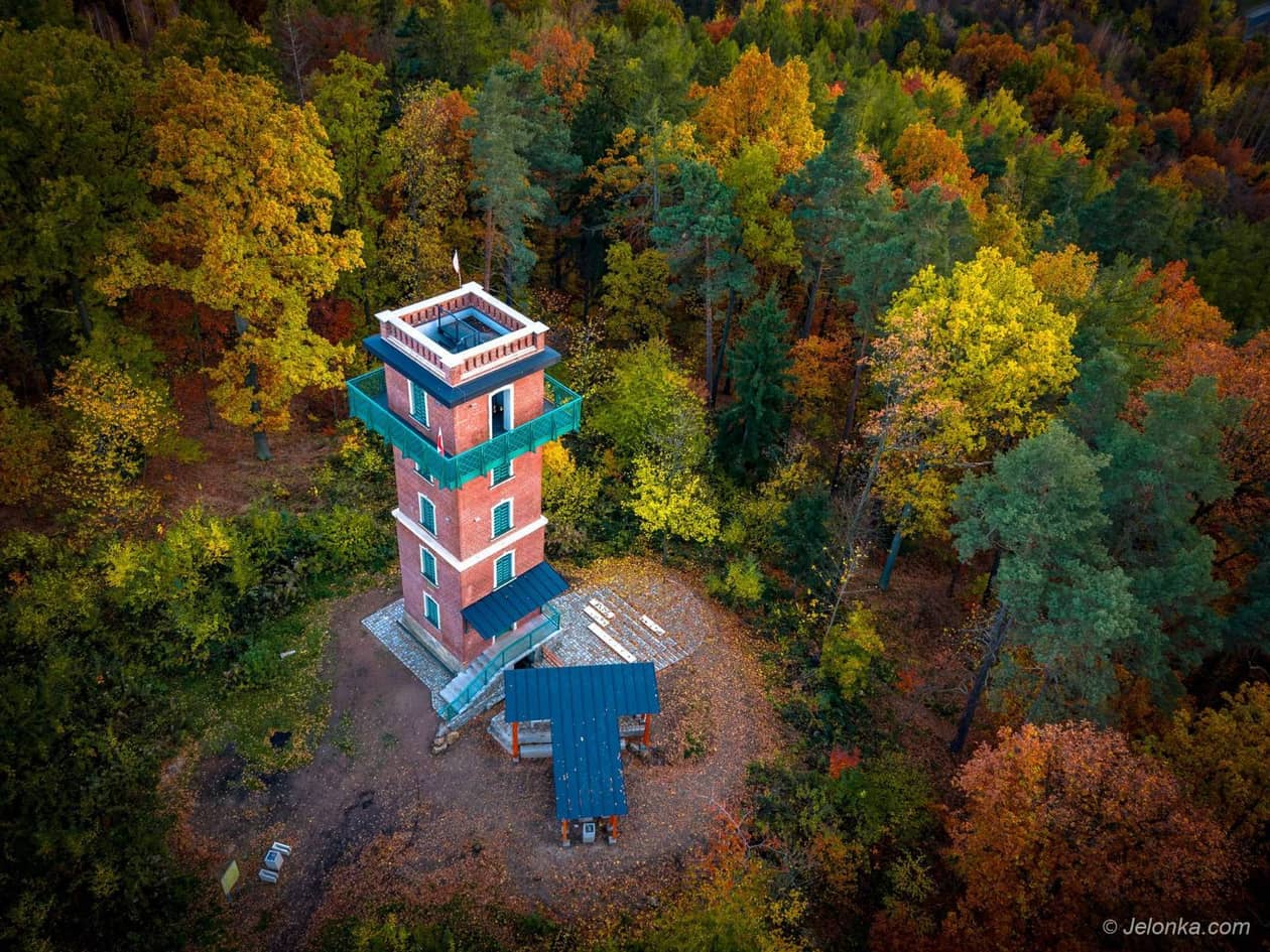 Cieplice: Nowe ścieżki  na Sołtysiej Górze