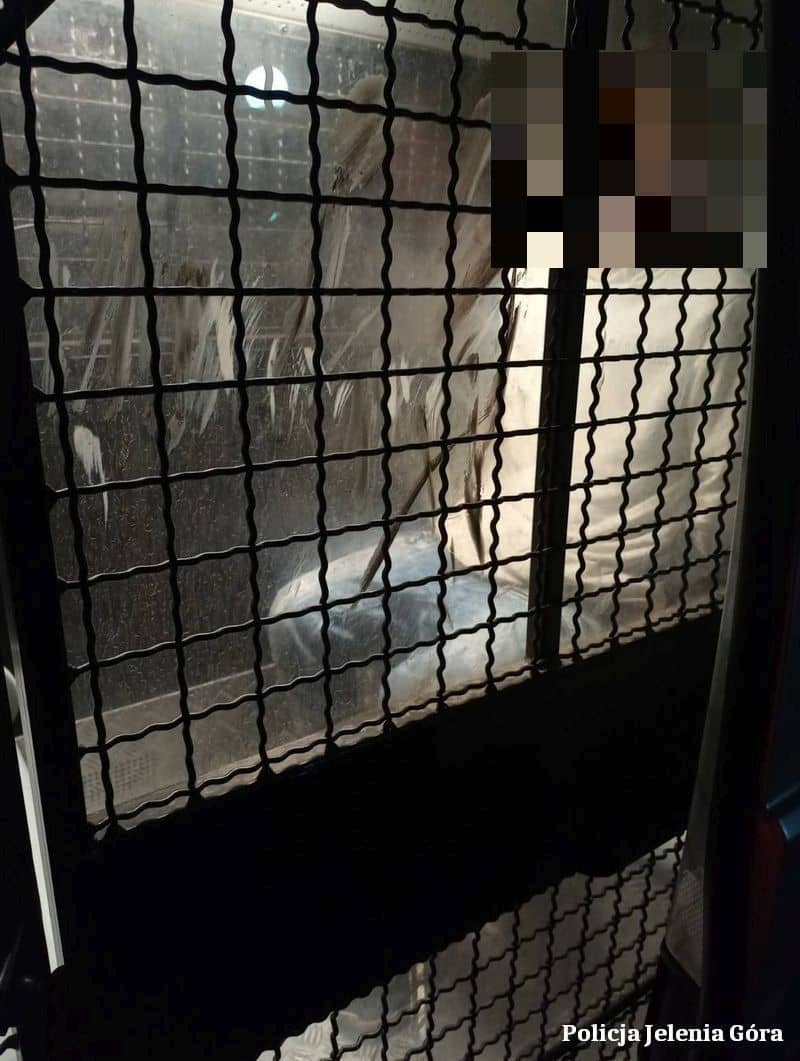 Jelenia Góra: Agresja wobec policjantów w jeleniogórskiej restauracji – zatrzymano dwóch braci