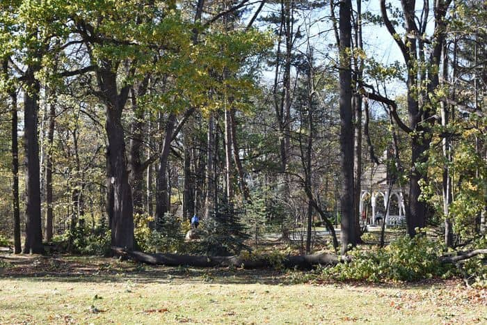 Jelenia Góra: Będzie wiało, pojawiło się ostrzeżenie IMGW