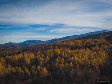 Zdjęcie z lotu ptaka