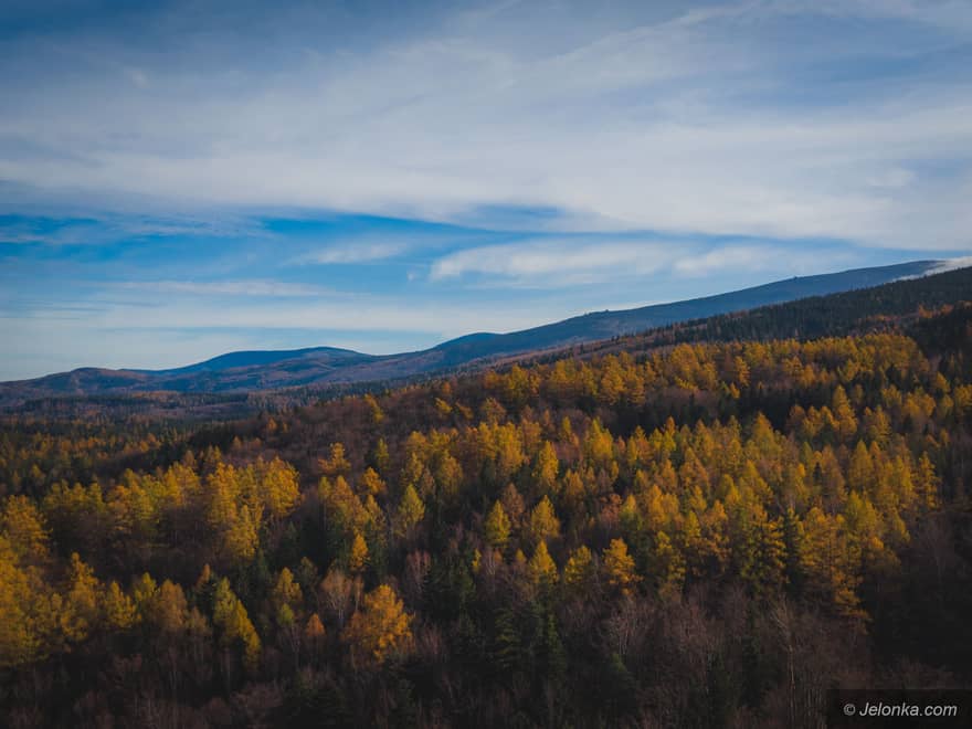 Zdjęcie z lotu ptaka