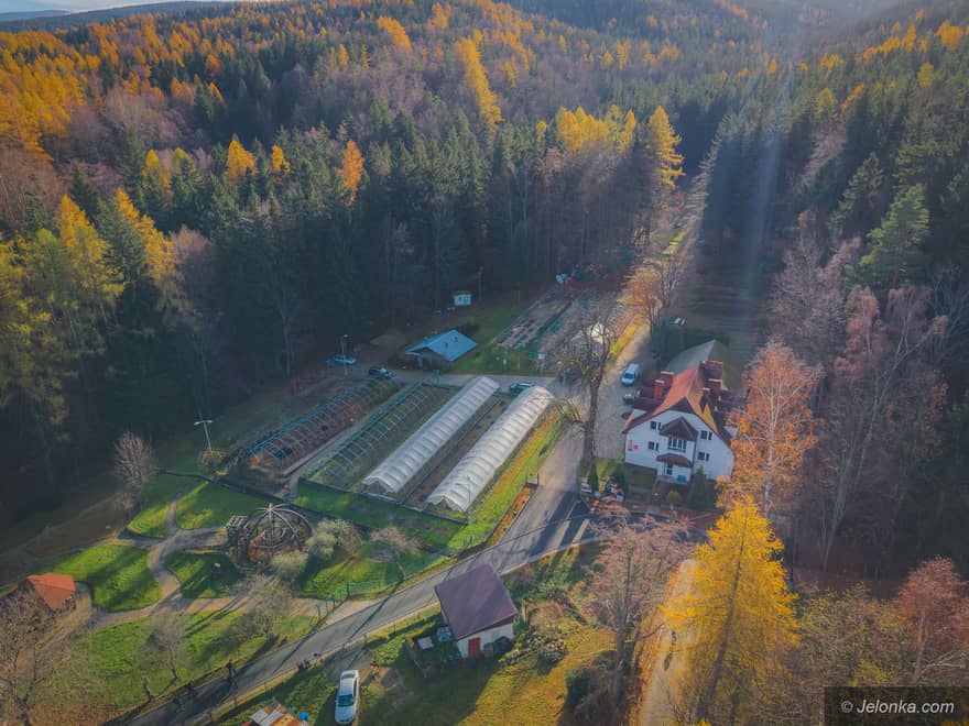 Zdjęcie z lotu ptaka