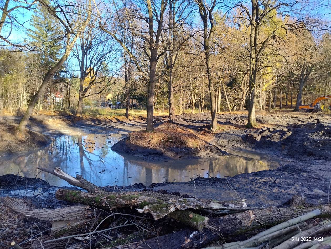Janowice Wielkie: Janowice z parkiem prawie jak w uzdrowisku