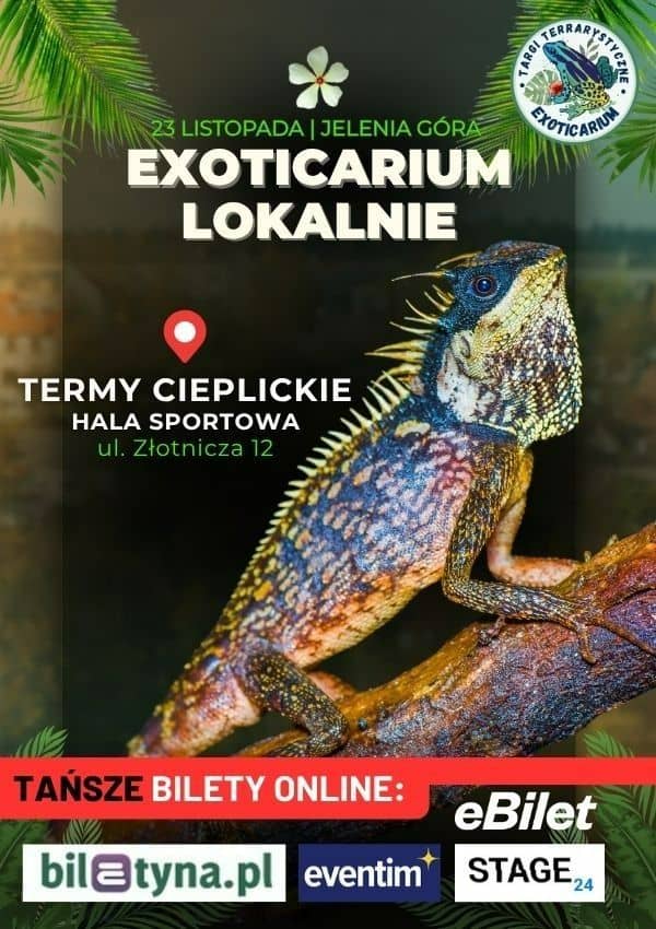 J. Góra: Egzotyczne zwierzęta w Jeleniej Górze – darmowe bilety