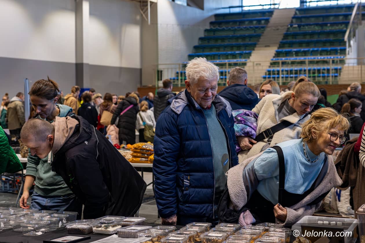 Jelenia Góra: Targi zwierząt egzotycznych w Jeleniej Górze