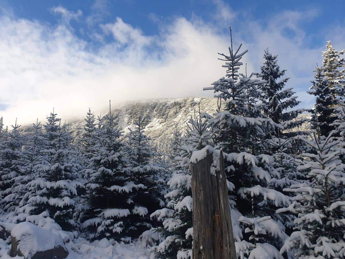 Jelenia Góra: Prognozy są złe, warunki bardzo niekorzystne