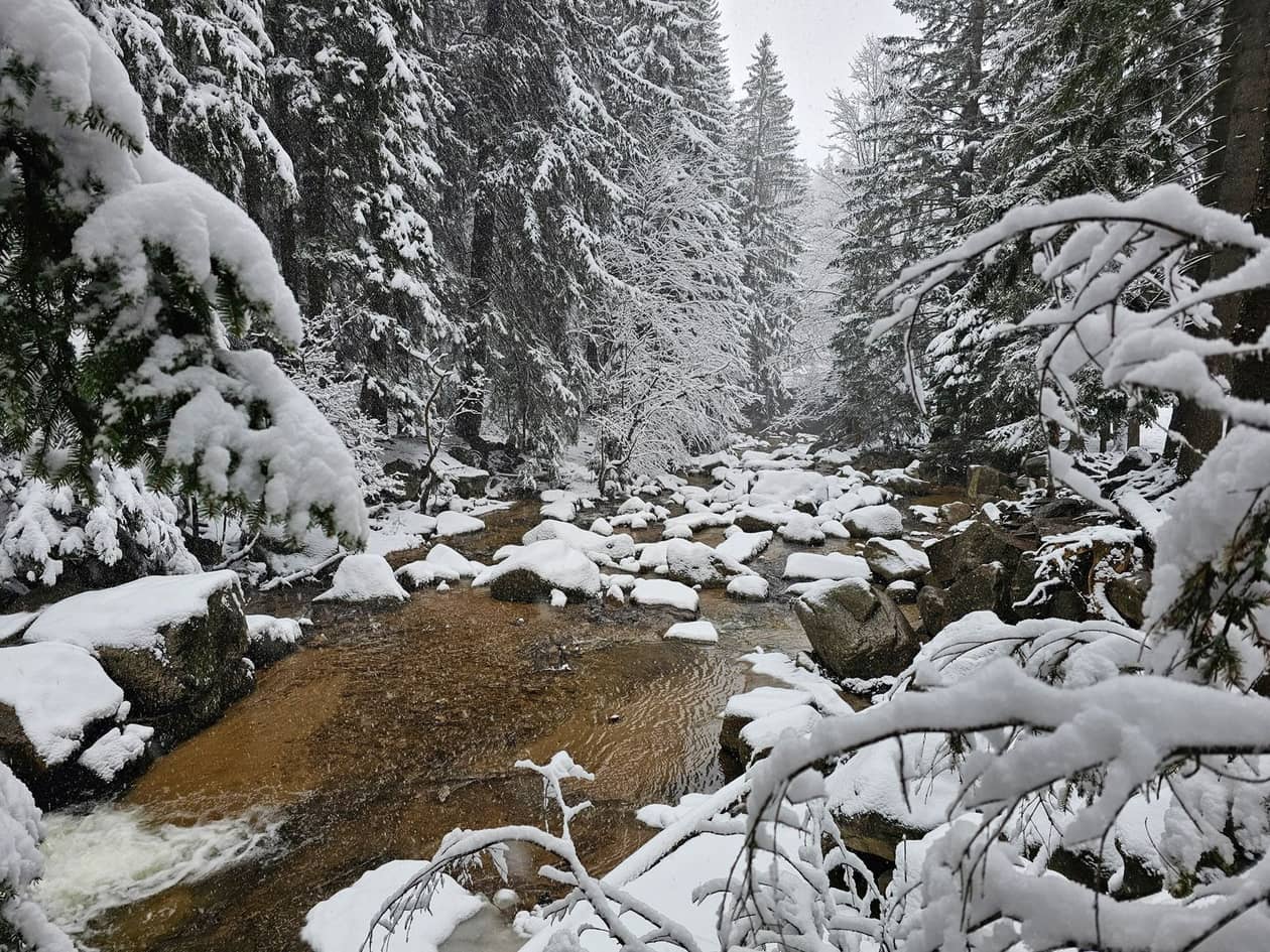 Karkonosze: Sypnie śniegiem, nawet do pół metra
