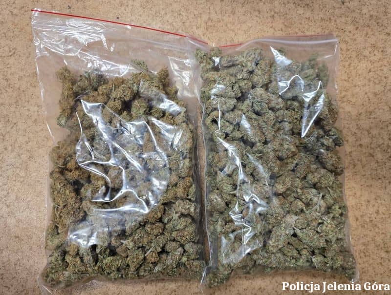 Powiat: Jeleniogórscy policjanci zatrzymali mężczyznę podejrzanego o posiadanie znacznych ilości narkotyków