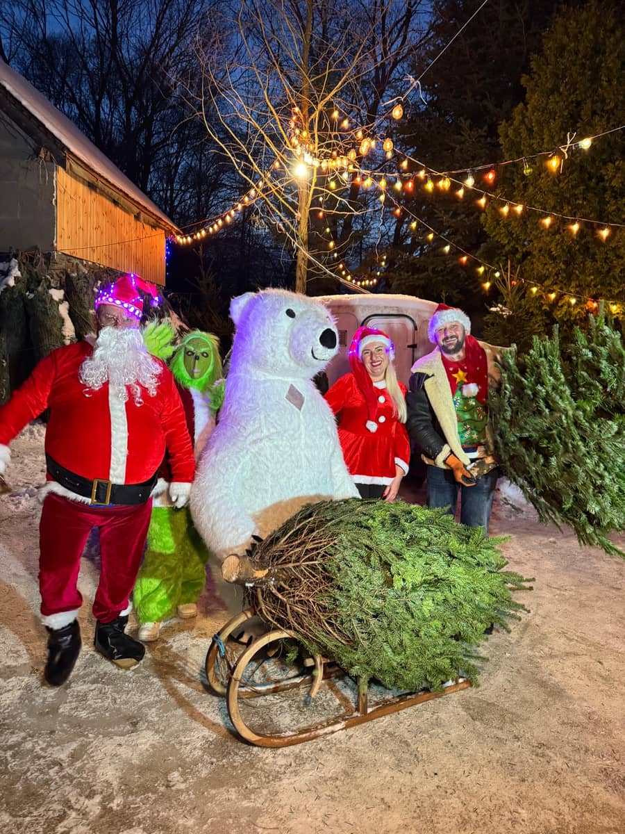 Dziwiszów: Poczuj świąteczny klimat w Dziwiszowie