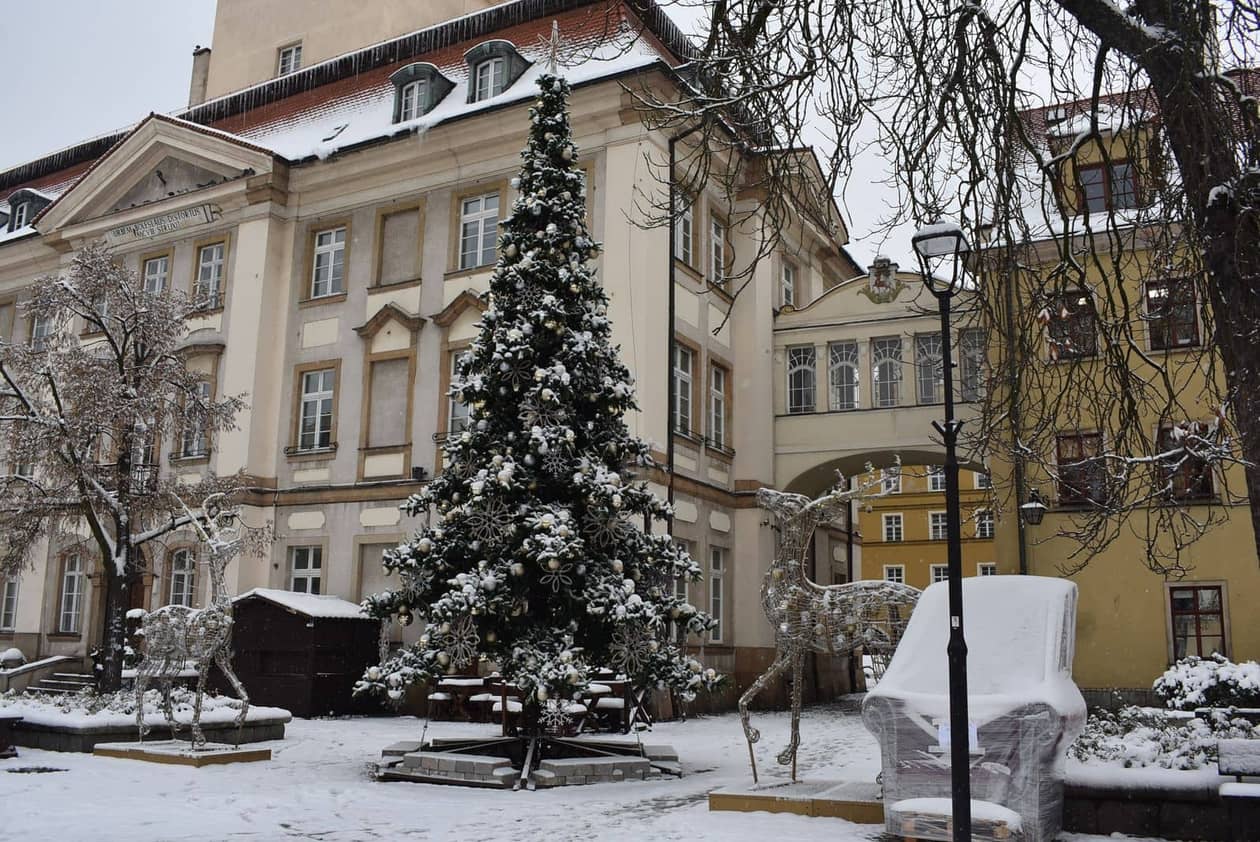 Jelenia Góra: Święta i Nowy Rok na małym plusie