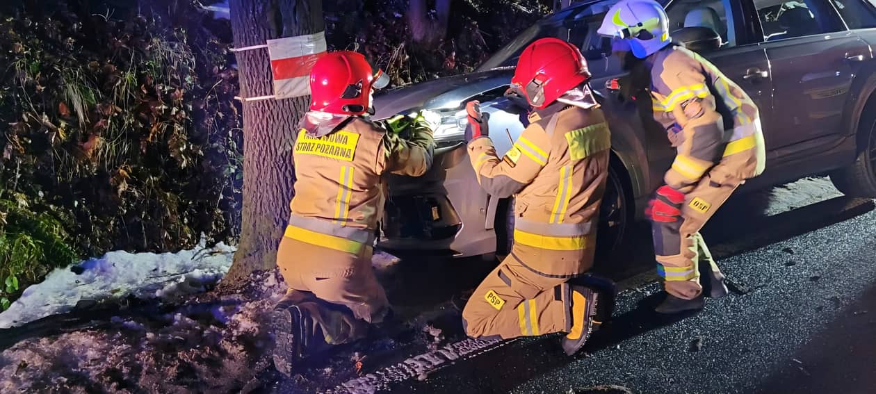 Ogorzelec: Wypadł z drogi i uderzył w drzewo
