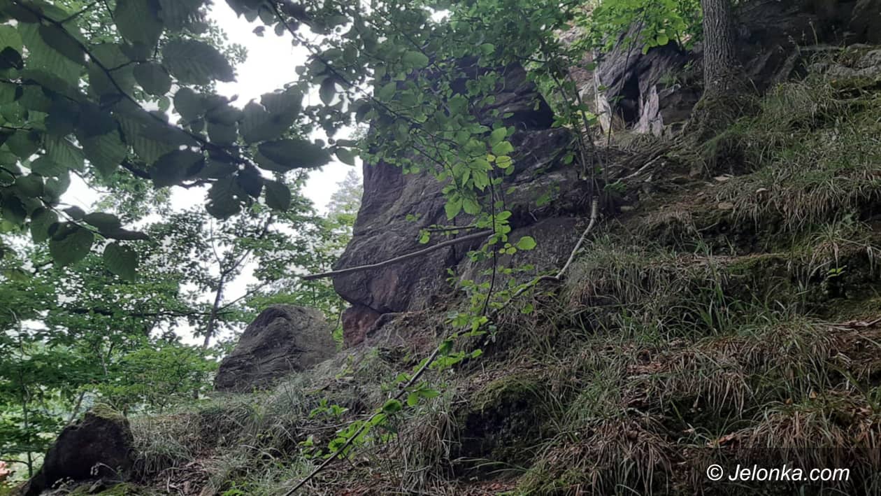 Sędziszowa: Organy odpoczynku