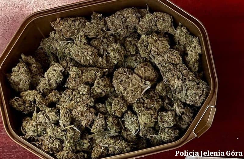 Jelenia Góra: Groził i zastraszał byłą partnerkę, nachodził jej brata i posiadał narkotyki – został tymczasowo aresztowany