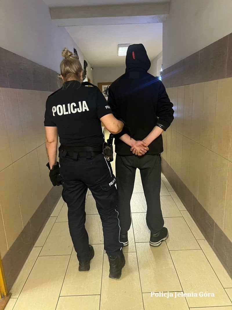 Jelenia Góra: Ukradł defibrylator z pociągu