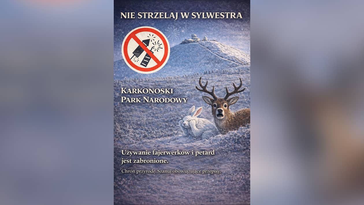 Karkonosze: Tysiące zwierząt giną od fajerwerków