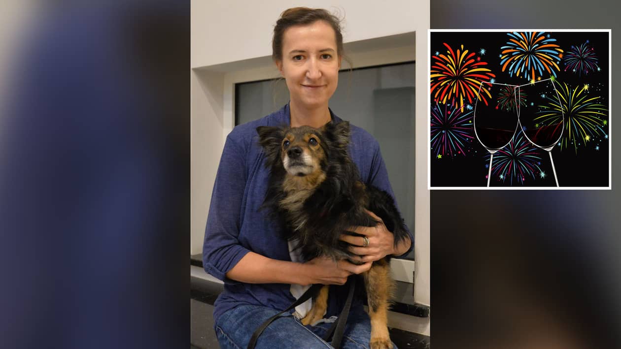 Dolny Śląsk: Zwierzęta boją się huku petard 100 razy bardziej niż człowiek