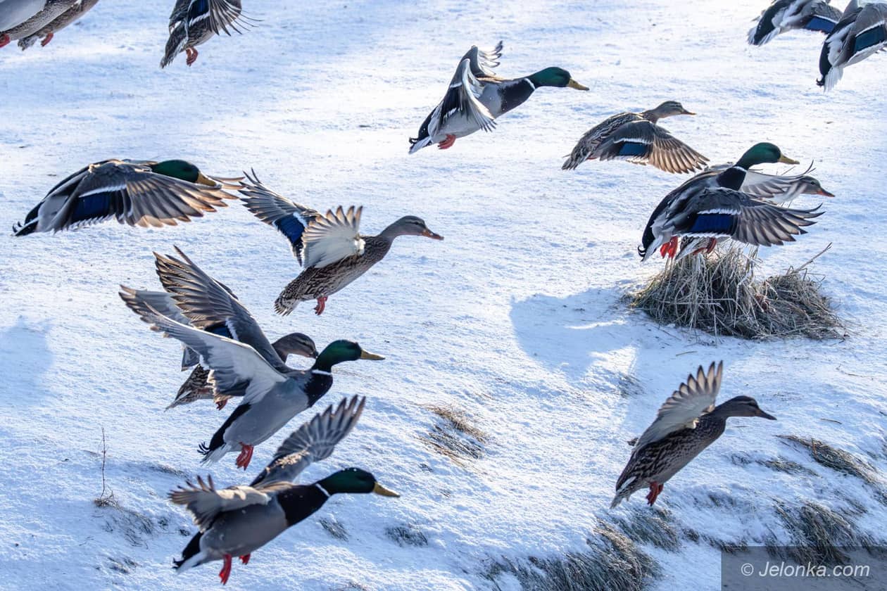 Karkonosze: Nadciąga pogoda atlantycka