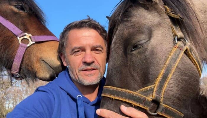 Polska: Petycja w obronie koni i osłów przed rzeźnią