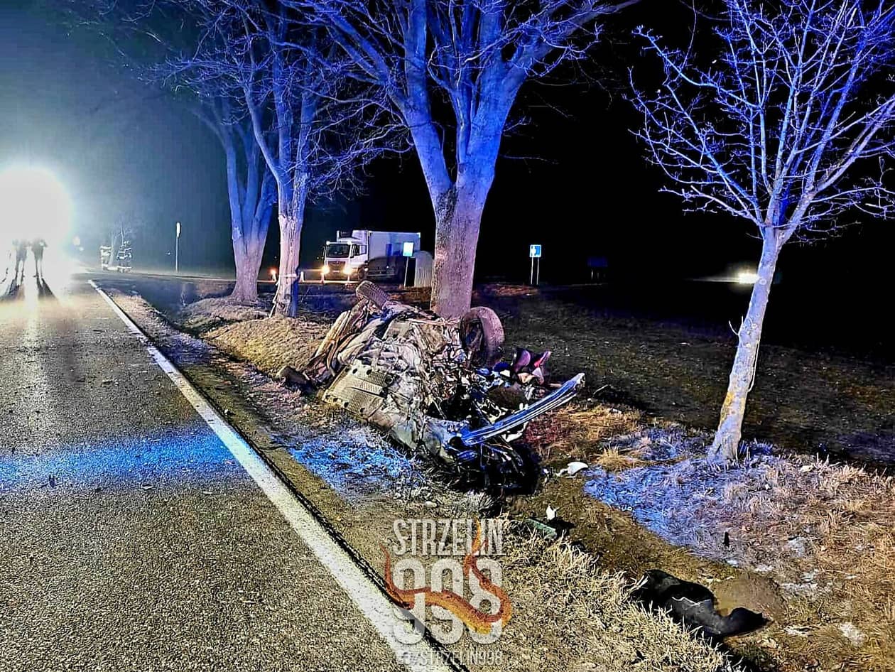 Dolny Śląsk: Śmiertelne uderzenie w drzewo