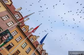 „Ta śmierć nie może być po nic” – Marsz Ciszy dla Danusi