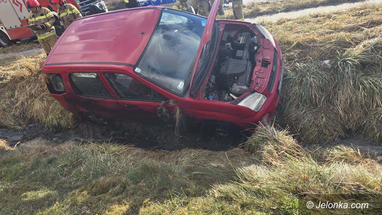 Jelenia Góra: Pijany w rowie