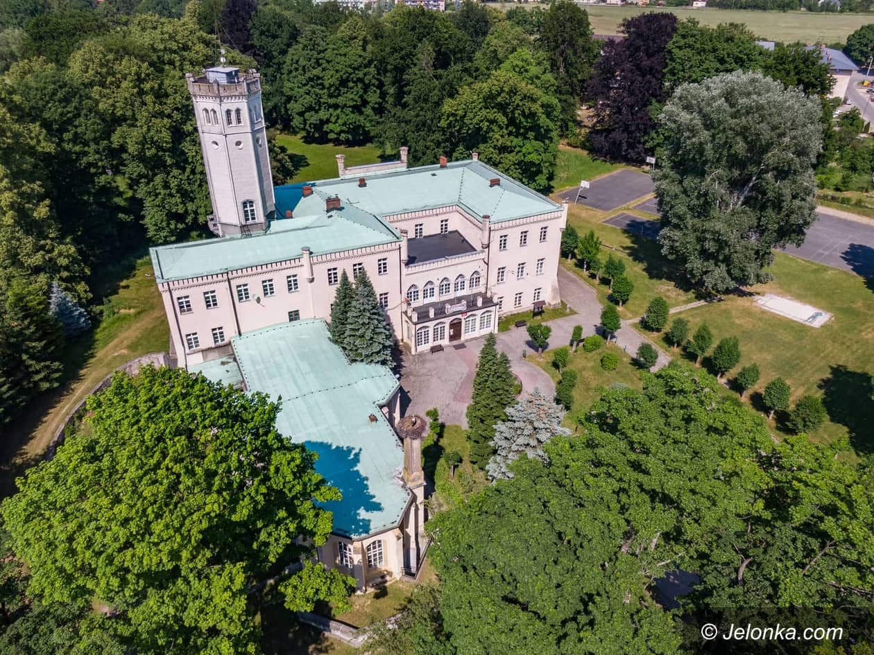 Mysłakowice: Drzewa pójdą pod topór