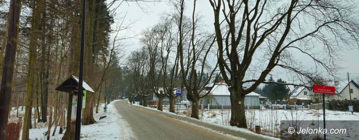 Janowice Wielkie: Wytną (już nie) pomniki