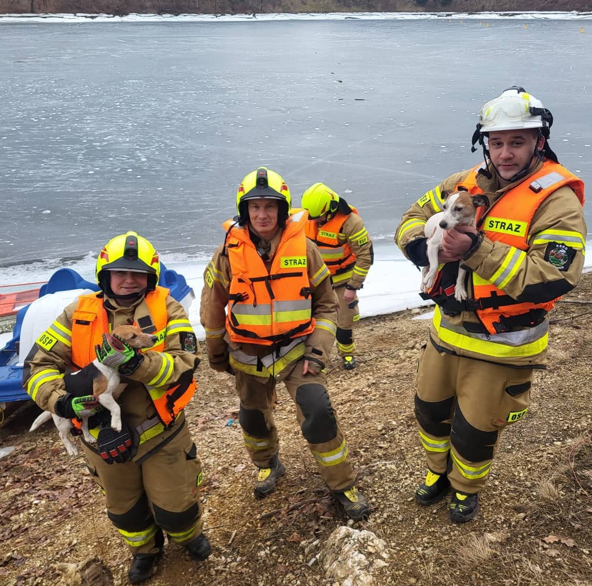 Pilchowice: Dzielni strażacy uratowali małe pieski