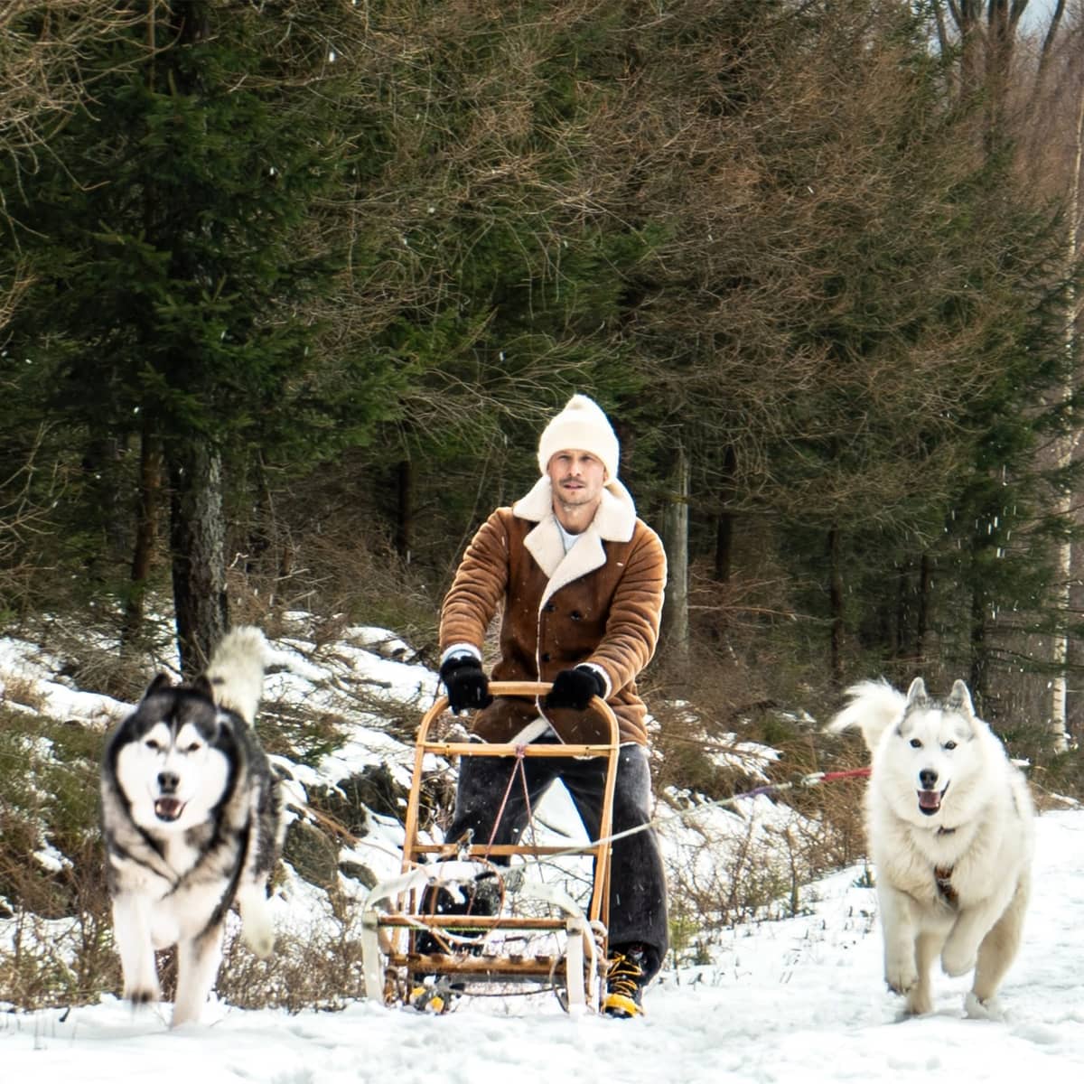 Jelenia Góra: O zwycięstwie w „The Voice of Poland”, odwołaniu starosty i kontroli kuratorium w SP nr 10