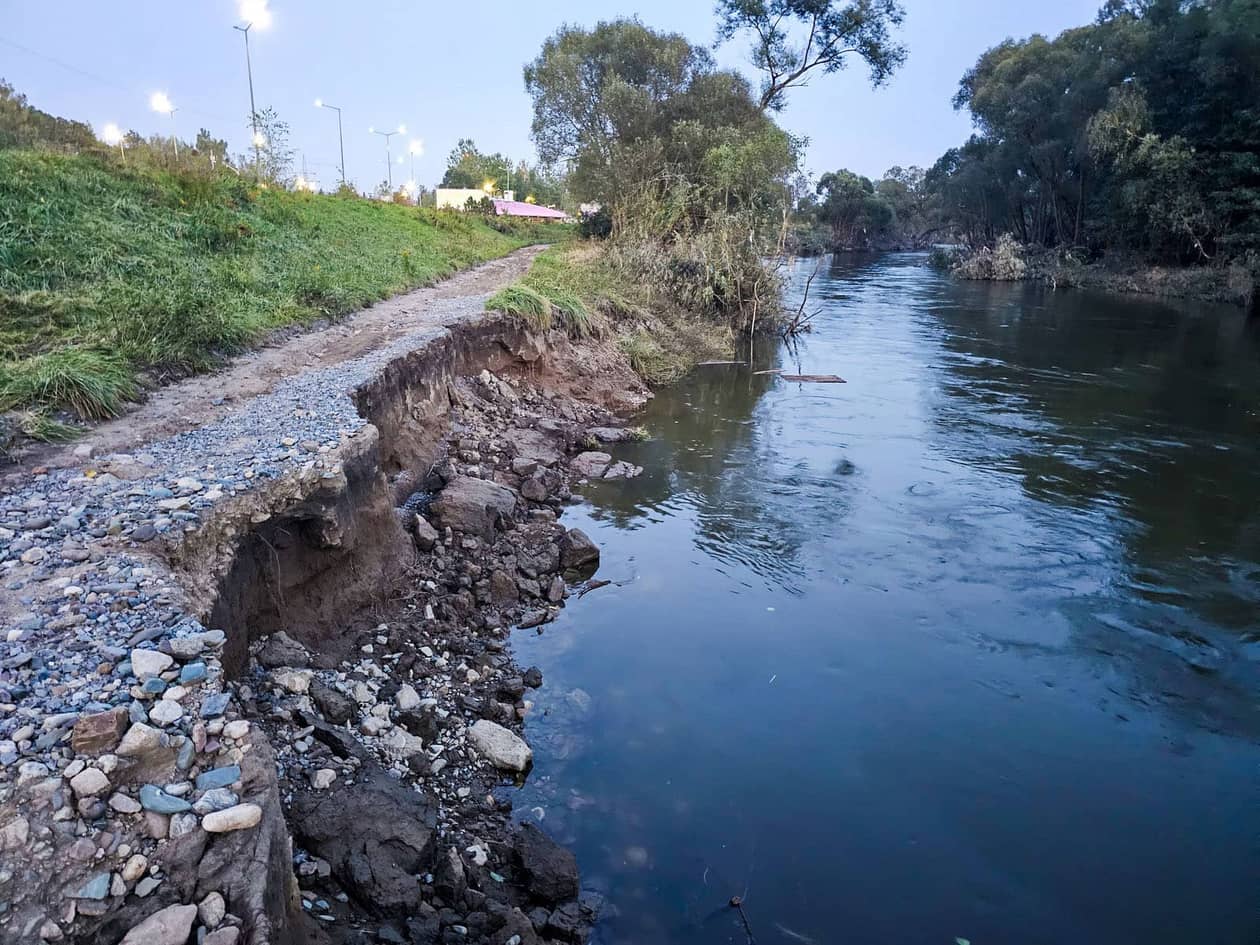 Karkonosze: Bóbr na razie bezpieczny
