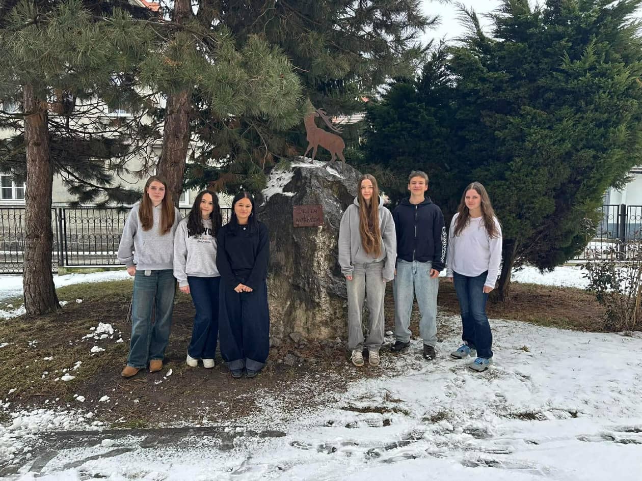 Jelenia Góra: W schemacie się nie mieści