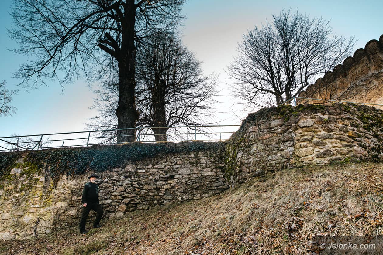 Jelenia Góra: Na Zamku Chojnik narasta problem. Kasztelan od lat apeluje o decyzję w sprawie drzew