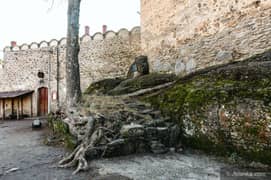 Na Zamku Chojnik narasta problem. Kasztelan od lat apeluje o decyzję w sprawie drzew