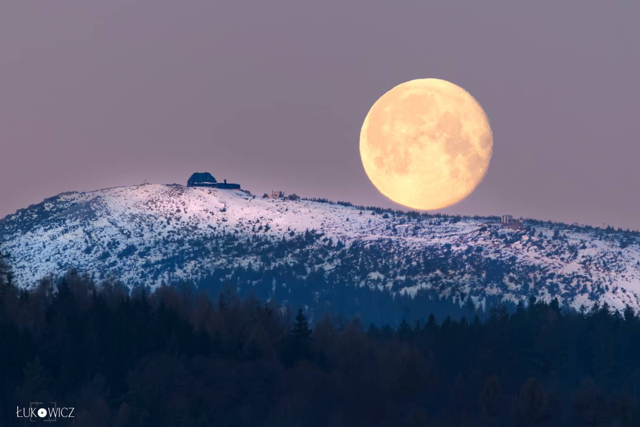 Karkonosze: Pełnia księżyca w Karkonoszach – sowy lepiej widzą swoje ofiary