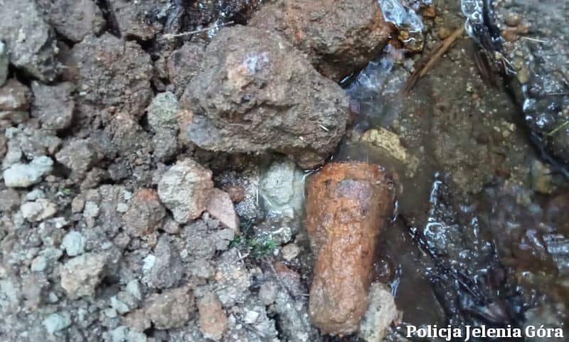 Piechowice: Niebezpieczne znalezisko w lesie