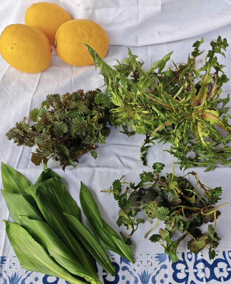 Dolny Śląsk: Wiosenna sałatka z pierwszych dzikich ziół