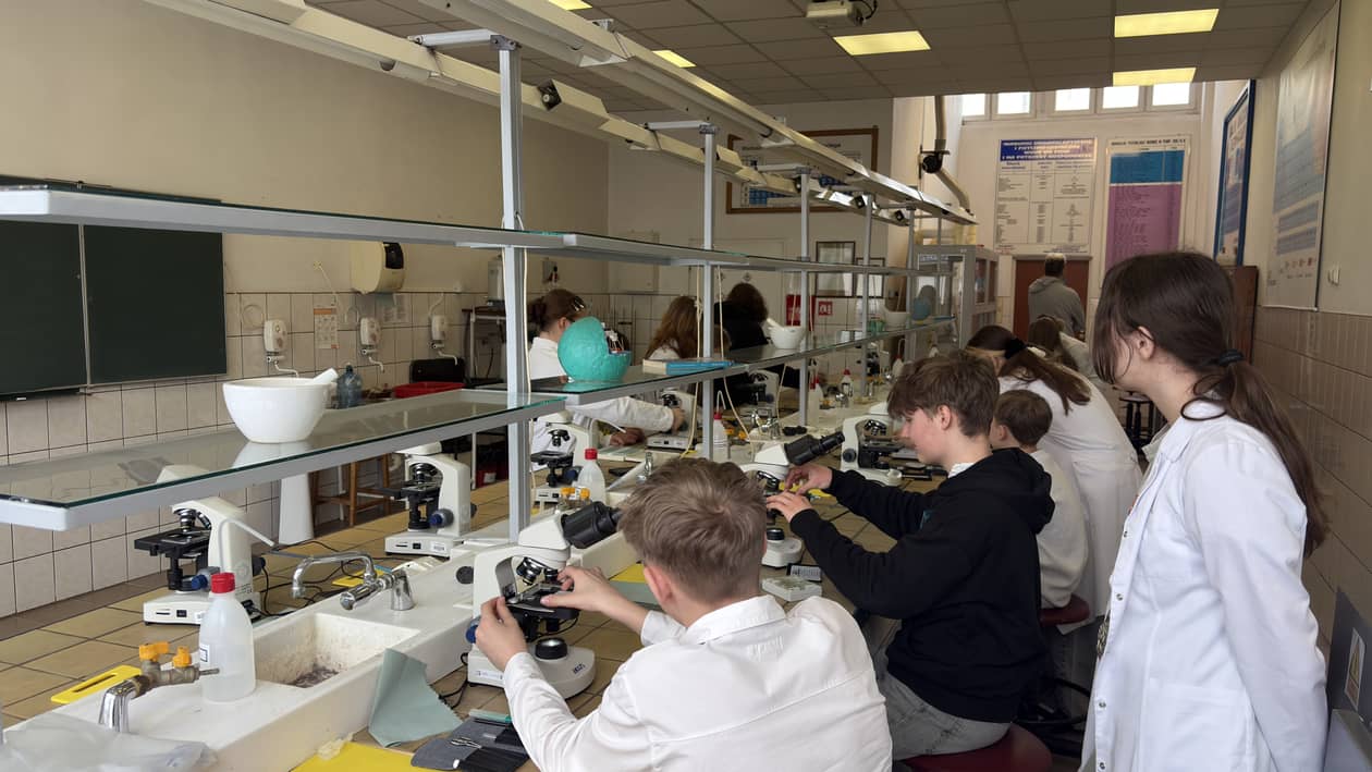 Jelenia Góra: Językowe zmagania w „Śniadeckim" – finał EGie 2026