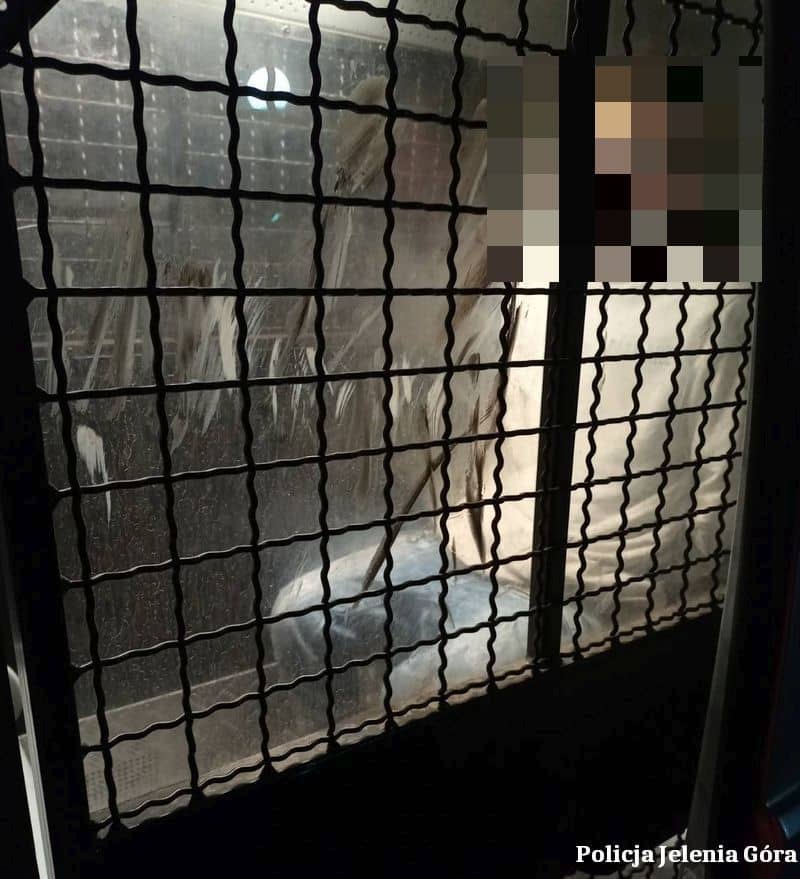 Karpacz: Znęcał się na swoją matką