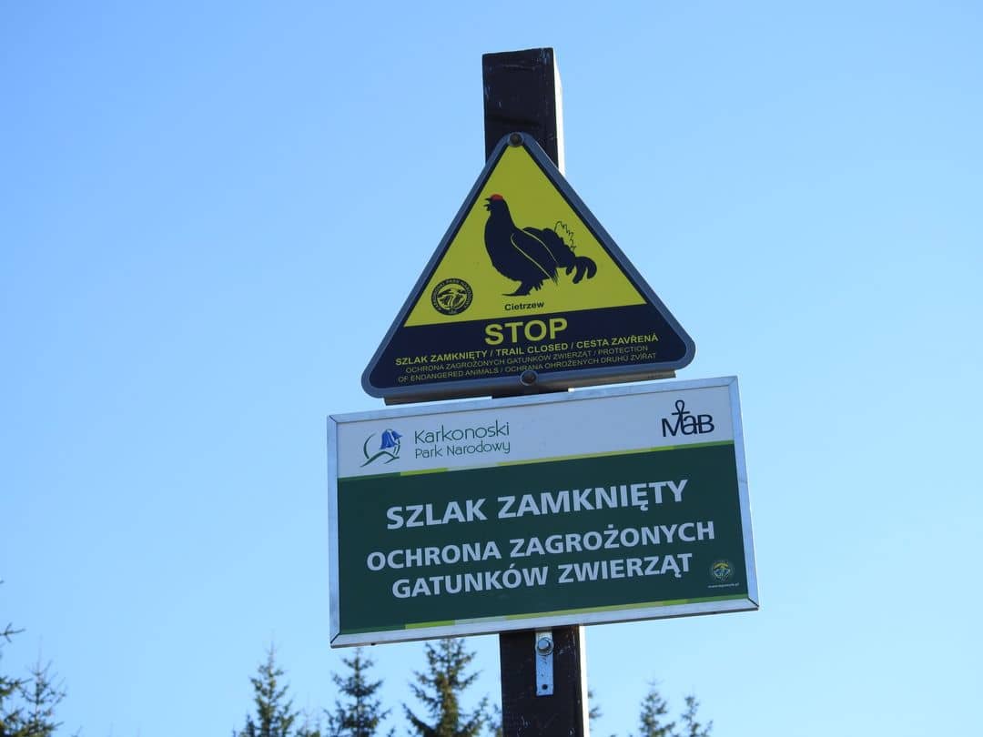 Karkonosze: Uwaga turyści, zamykają szlaki