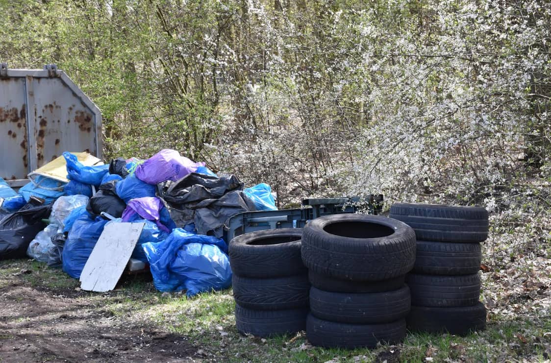 Janowice Wielkie: Sprzątanie i sadzenie w Janowicach