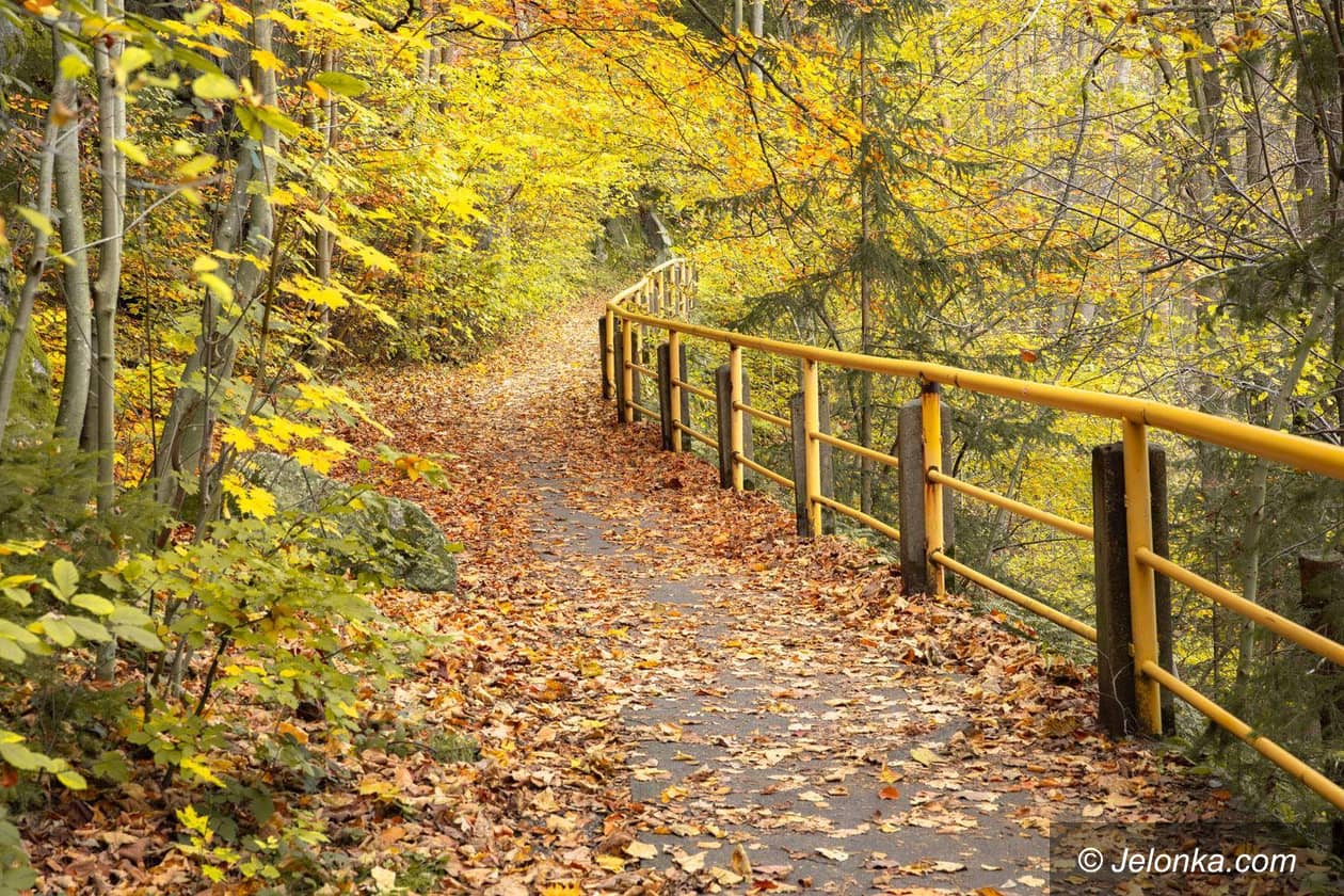Jelenia Góra: Ścieżka czasowo zamknięta
