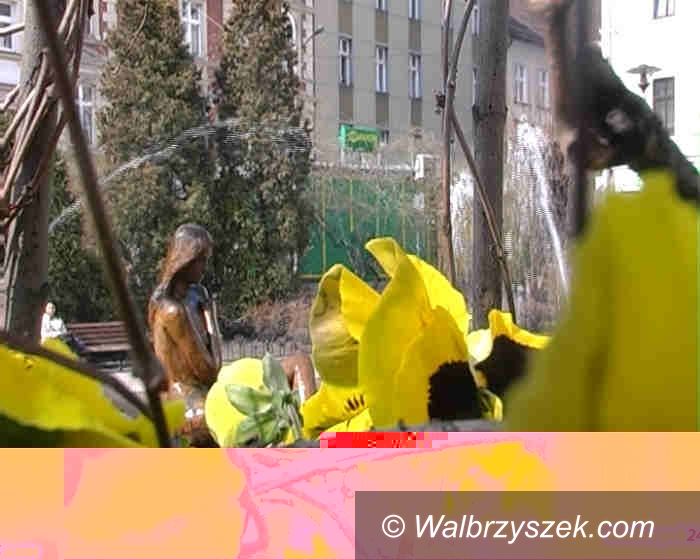Wałbrzych: Kwitnące miasto