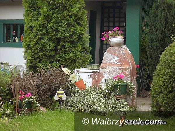 Wałbrzych: Konkurs trwa. Ładne okna, balkony i posesje znów zostaną nagrodzone!
