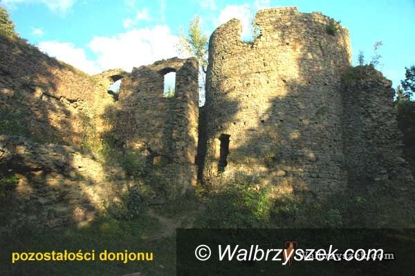REGION: Cisy. Średniowieczna warownia